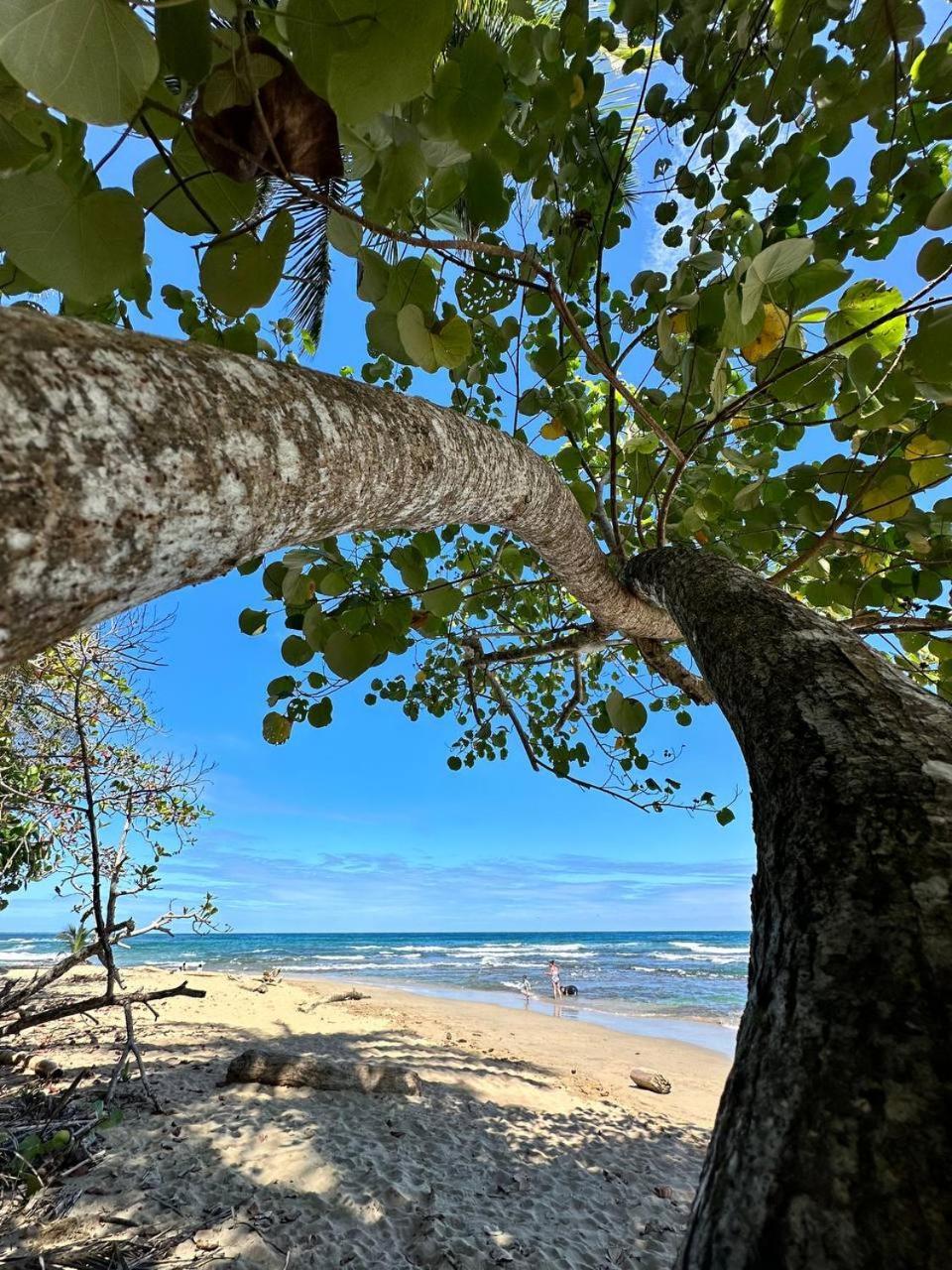 Caribbean Flow Puerto Viejo de Talamanca Exterior foto